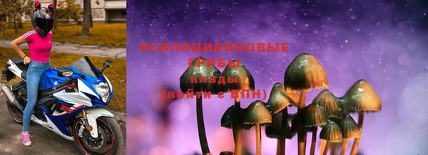 хмурый Инсар