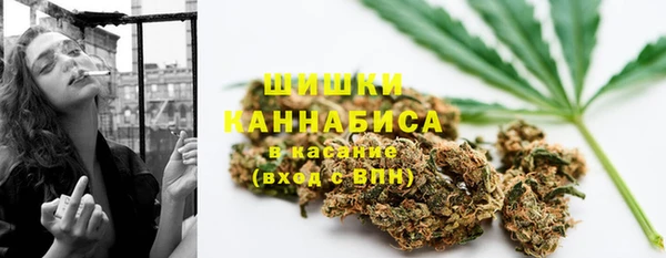 apvp Иннополис