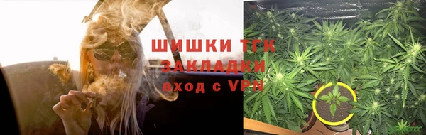 хмурый Инсар