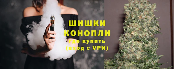 хмурый Инсар