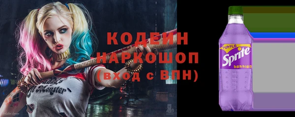 МДПВ Инта