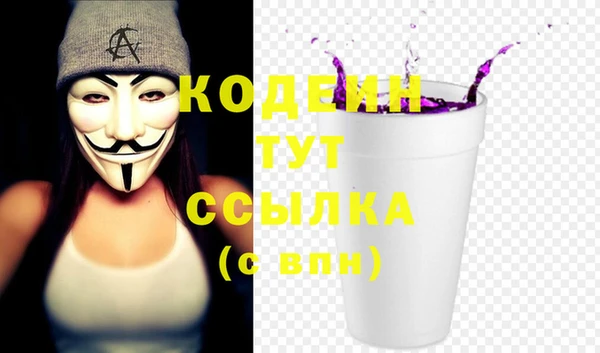 МДПВ Инта