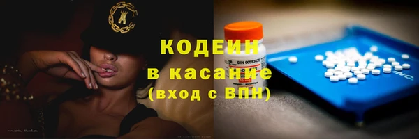apvp Иннополис