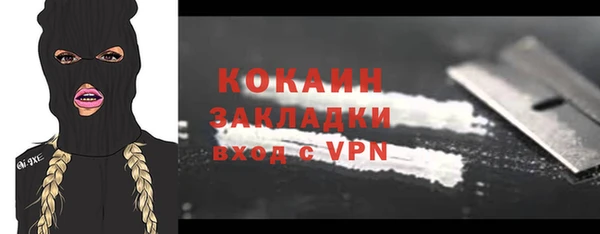 хмурый Инсар
