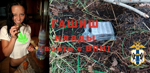 хмурый Инсар