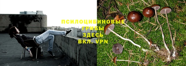 МДПВ Инта