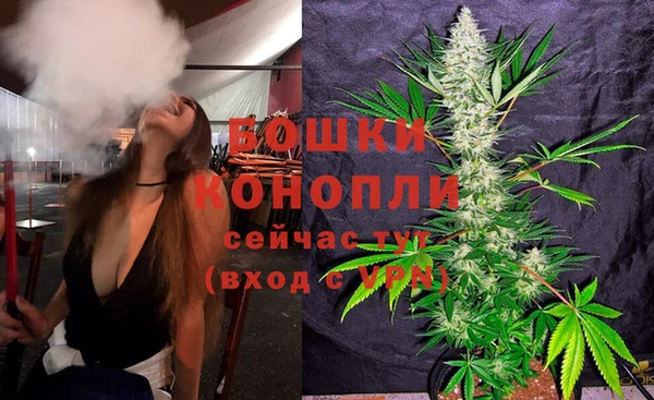 хмурый Инсар