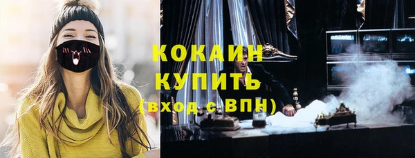 МДПВ Инта