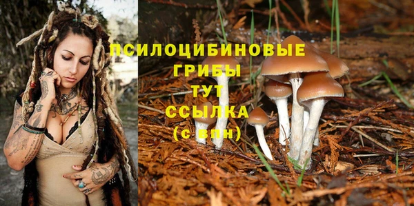 apvp Иннополис