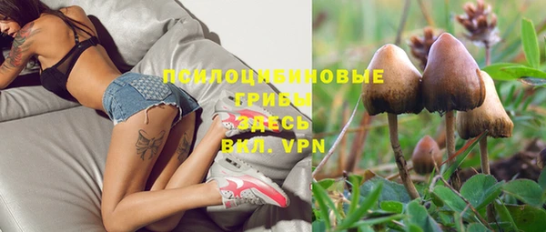 хмурый Инсар