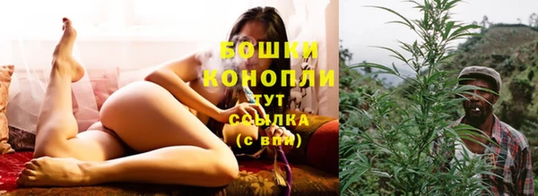 apvp Иннополис