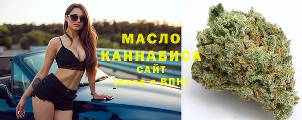 МДПВ Инта