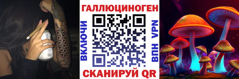 Галлюциногенные грибы MAGIC MUSHROOMS  Купить где  Калининград 